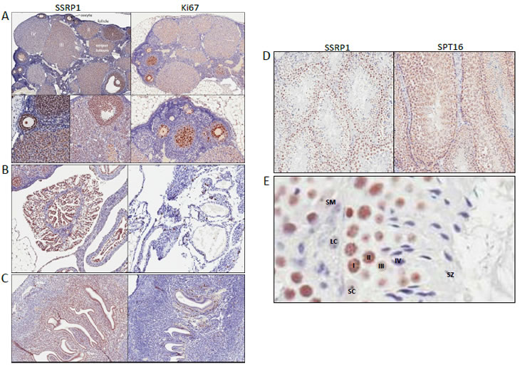 Figure 3.pdf