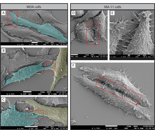 FIG10