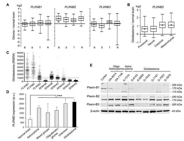 fig1