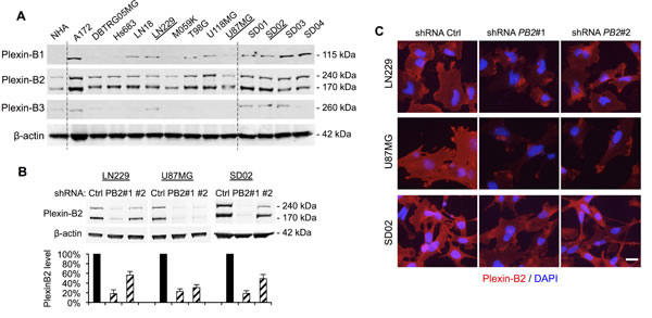 fig3