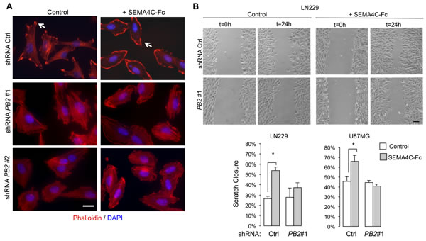 fig4