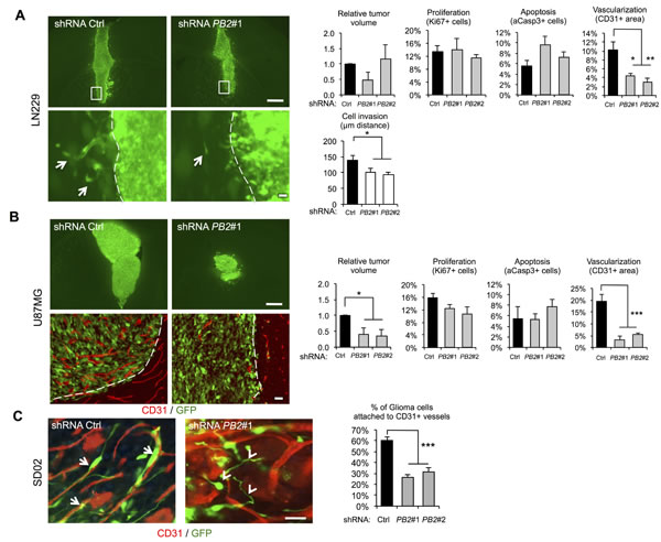 fig6