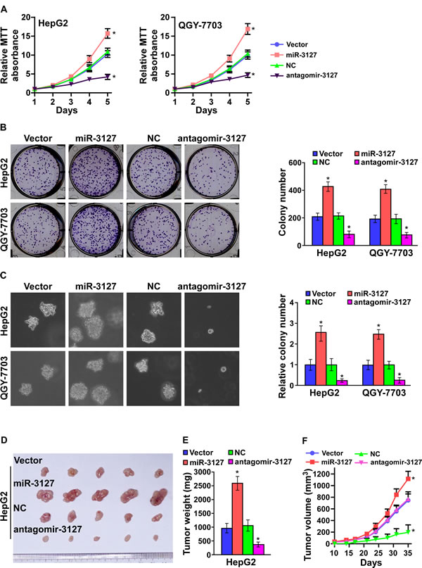 fig2