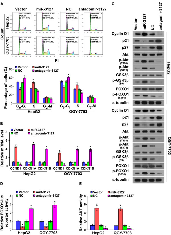 fig3