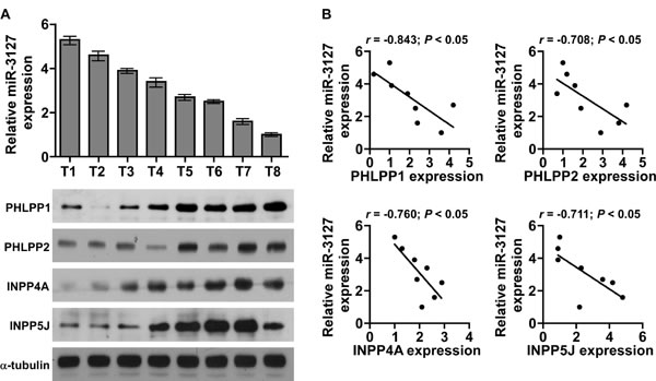 fig6