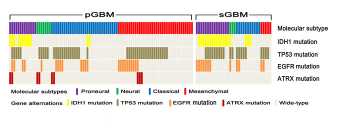 fig1