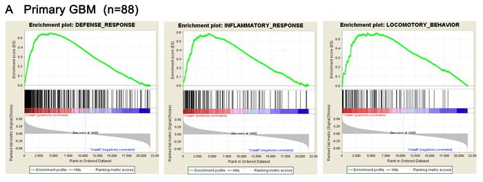 fig2a