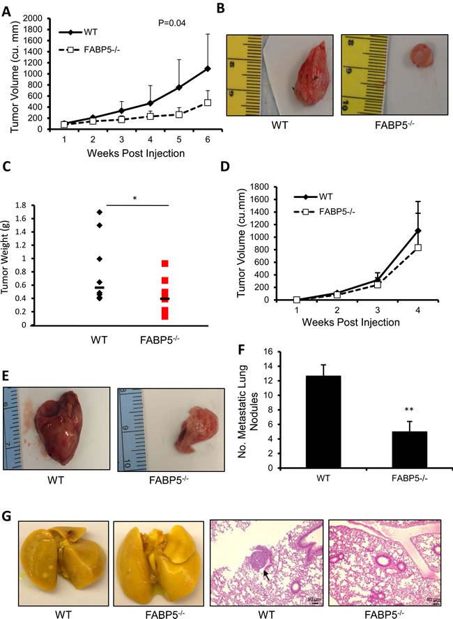 fig2