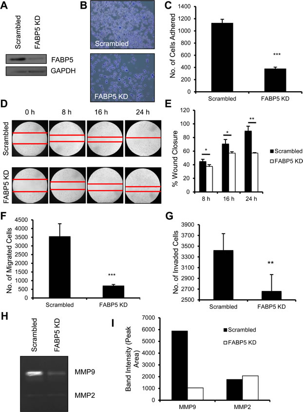 fig3
