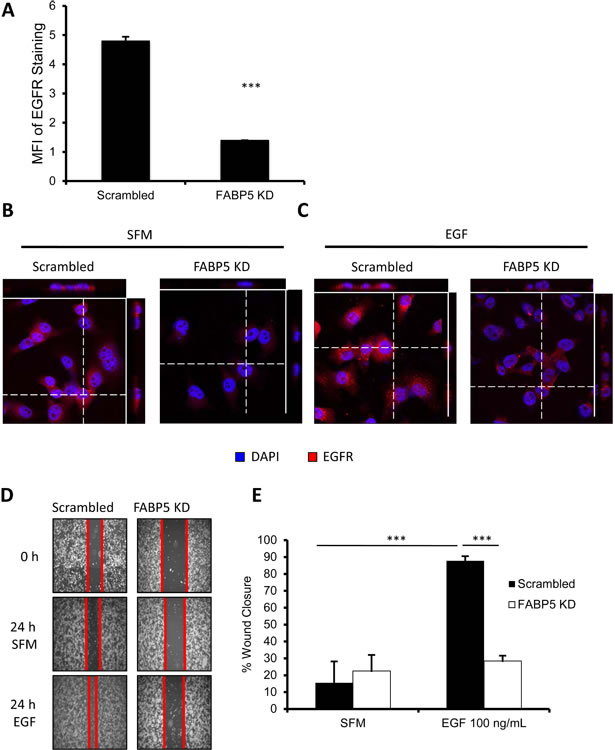 fig4