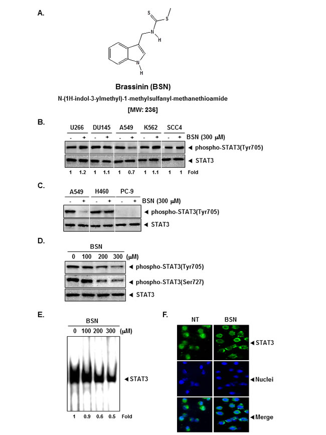 fig1