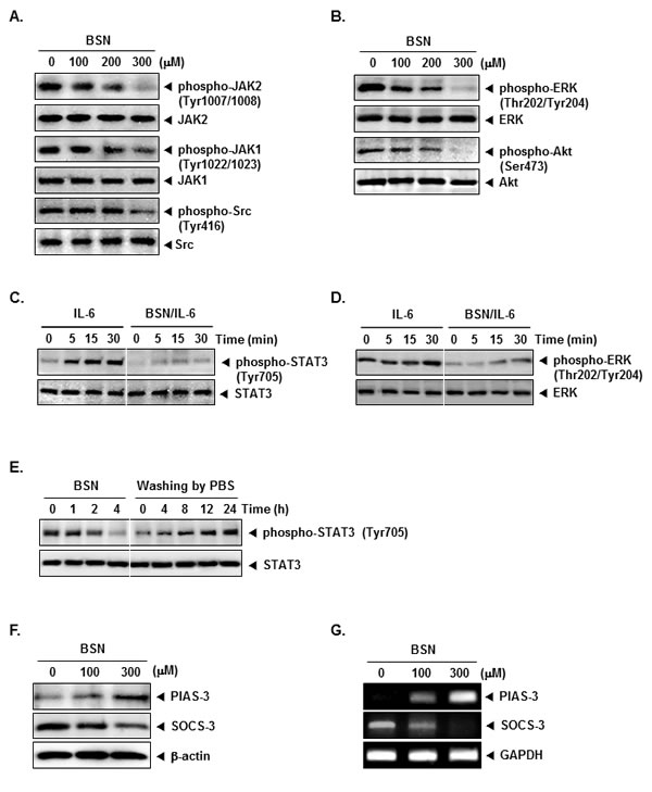 fig2