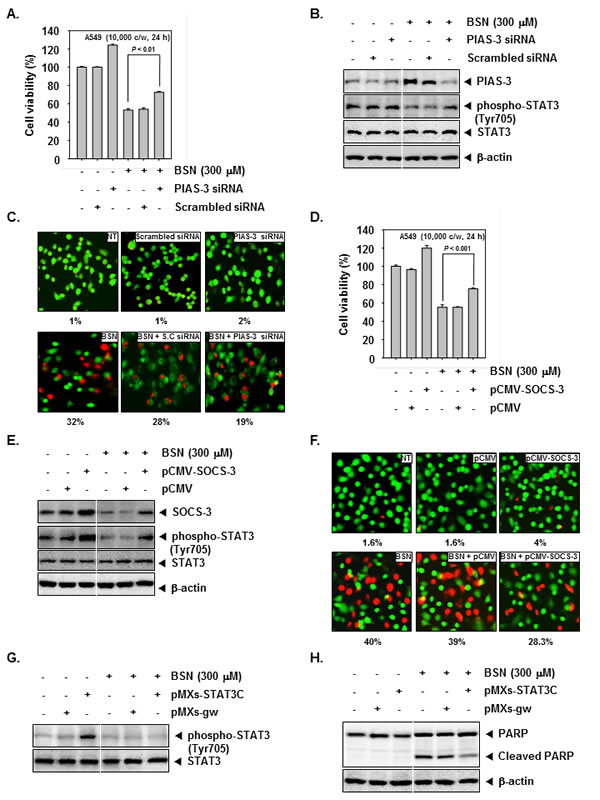 fig3