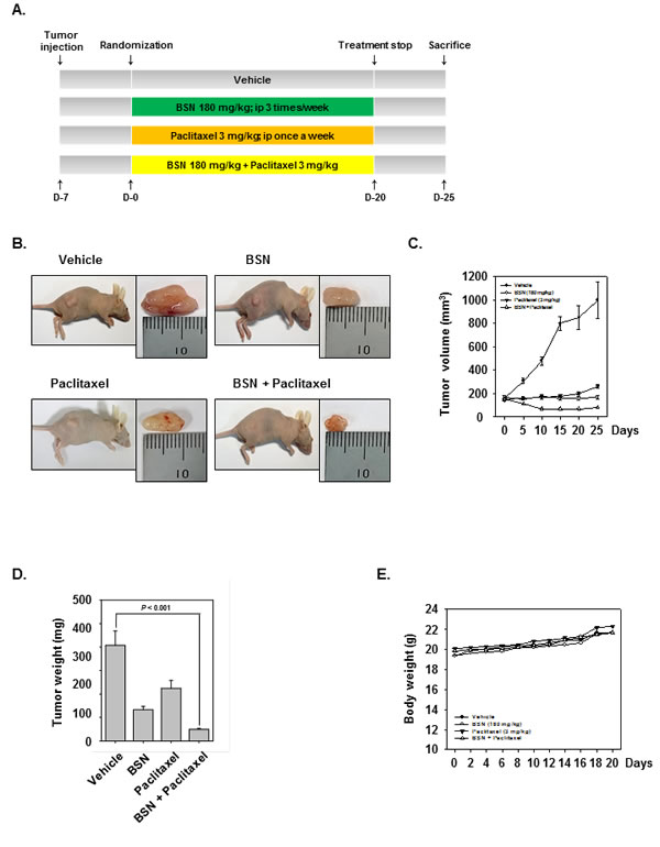fig6