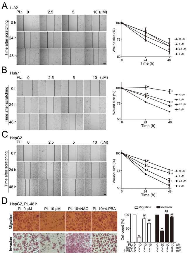 fig2