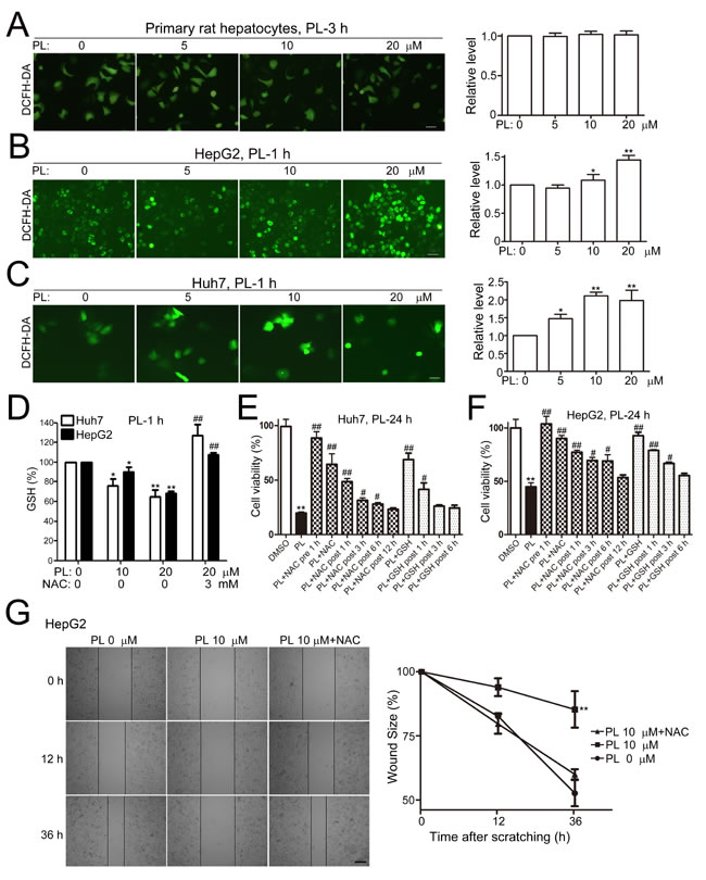 fig3