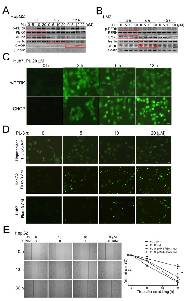fig4