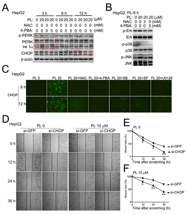 fig6