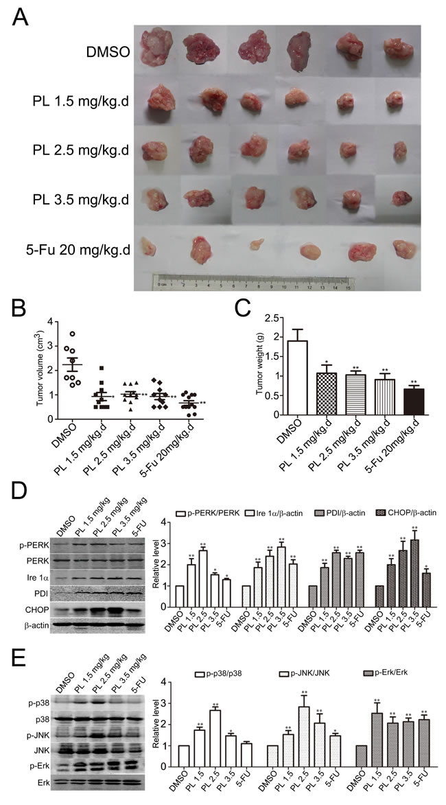 fig7