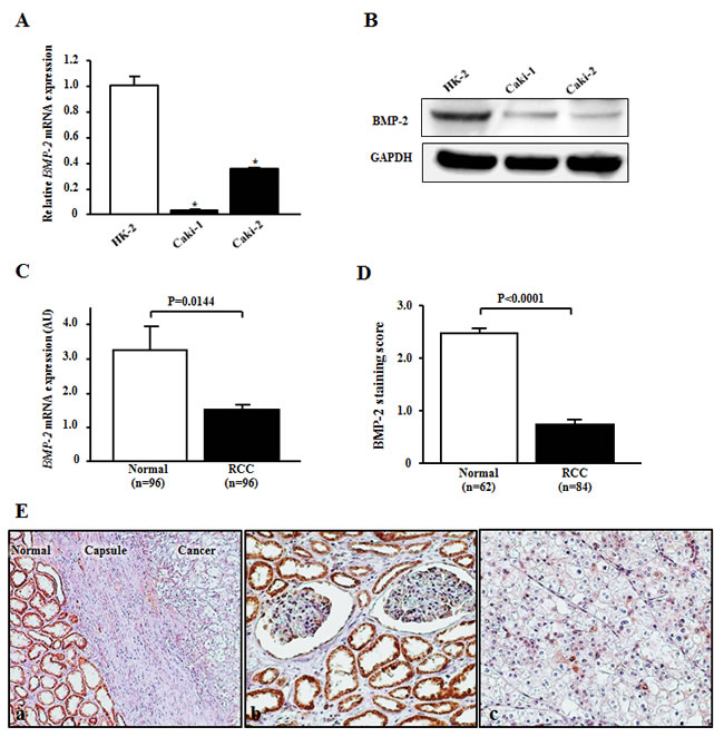 fig1