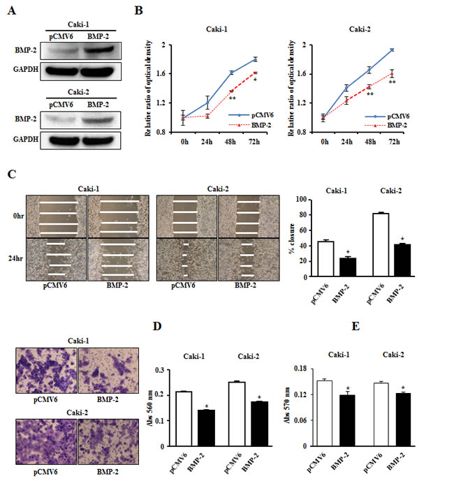 fig4