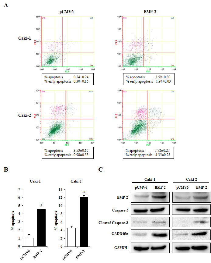 fig6