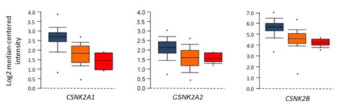 fig2