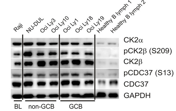 fig3
