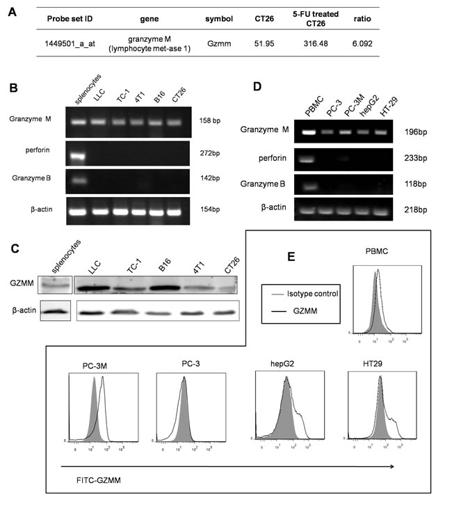 fig1
