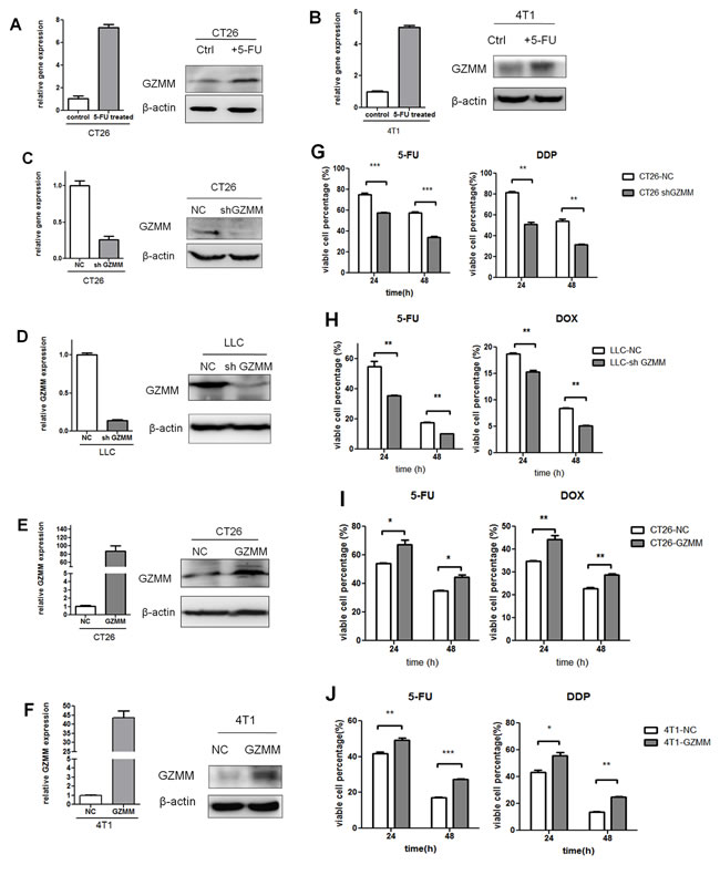 FIG3