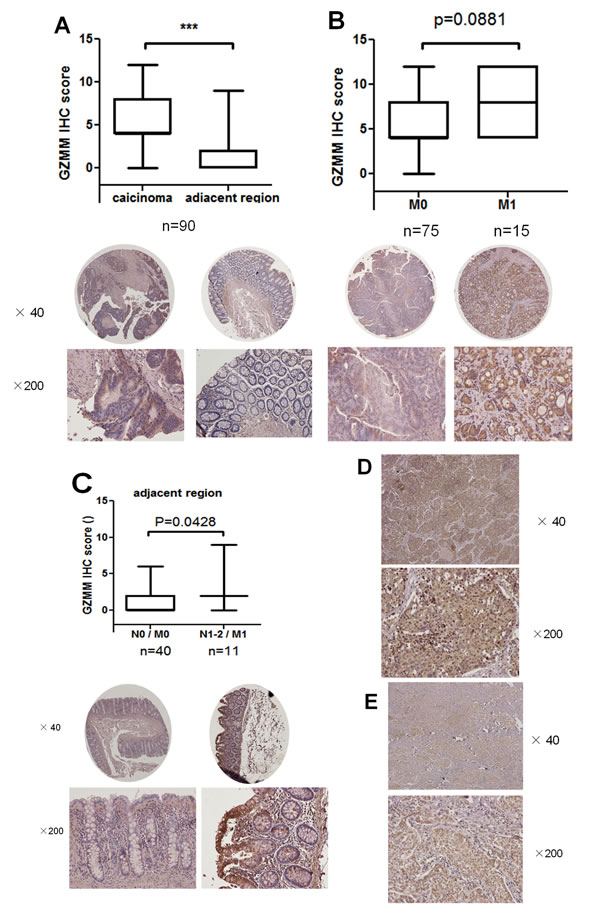 FIG2