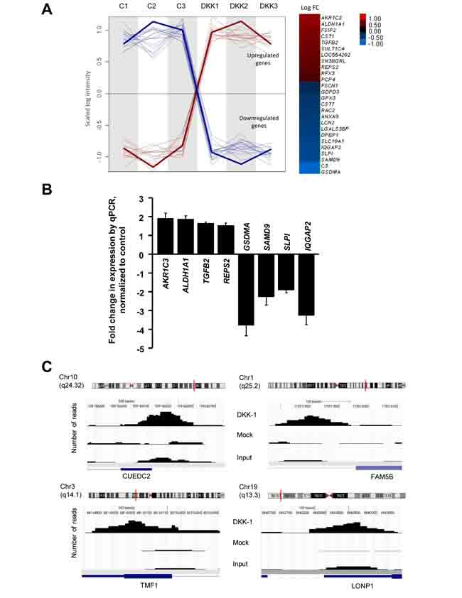 fig4
