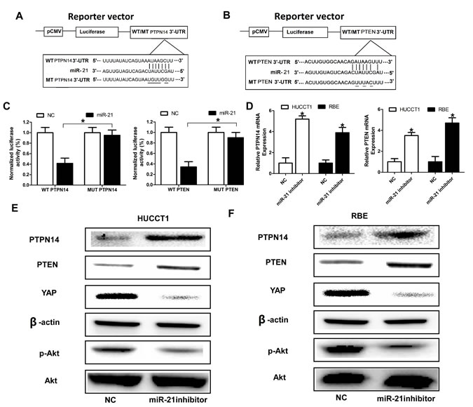 fig3