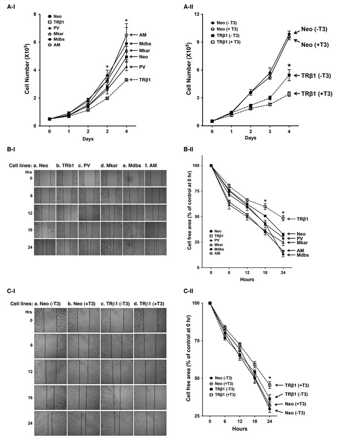 fig2