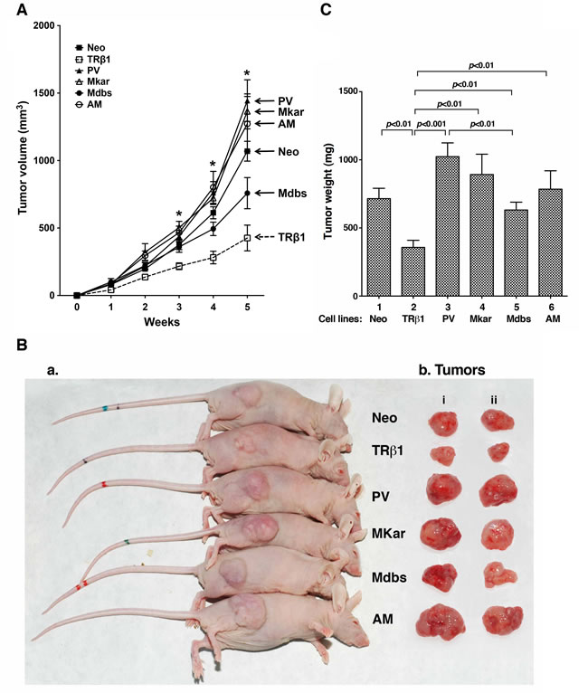 fig3