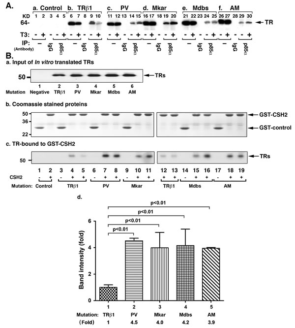 fig7