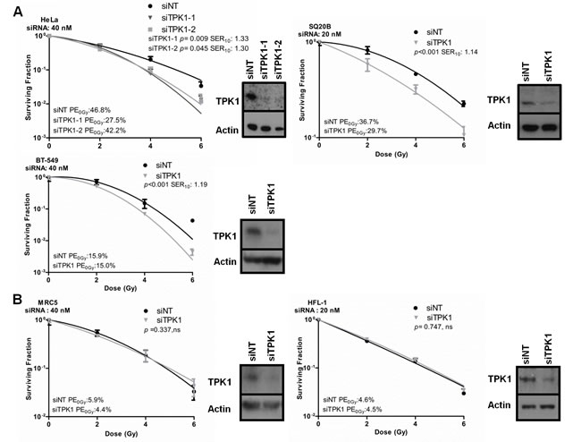 fig2