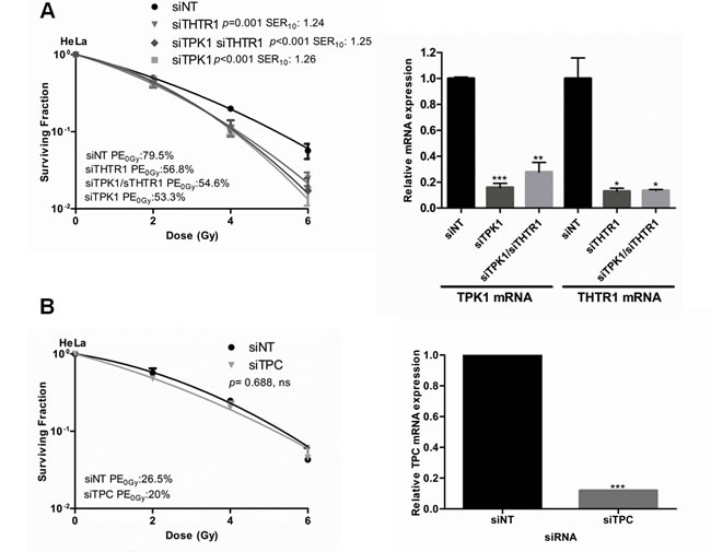 fig3