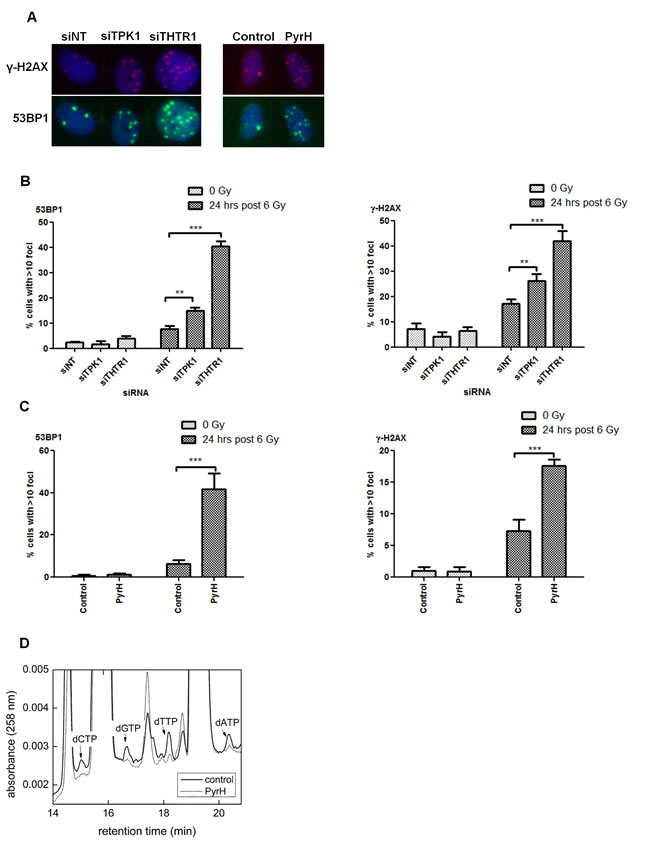 fig6