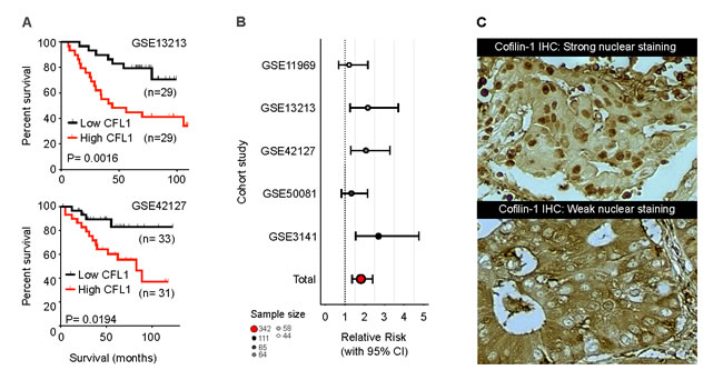 fig1