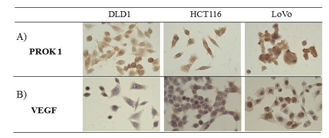 fig1