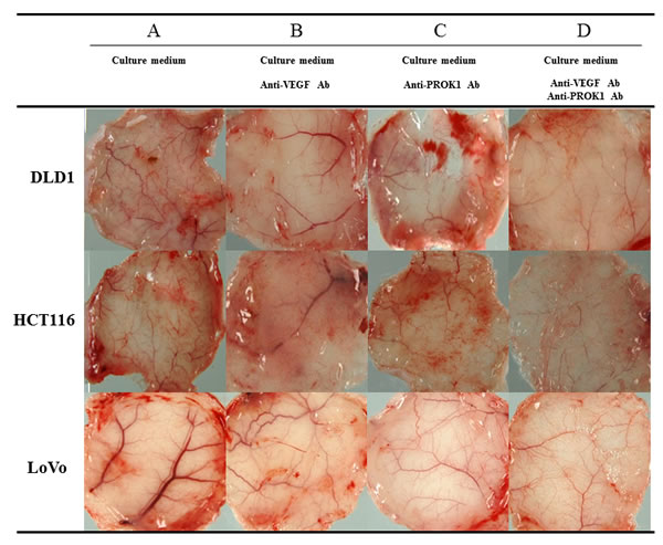 fig2