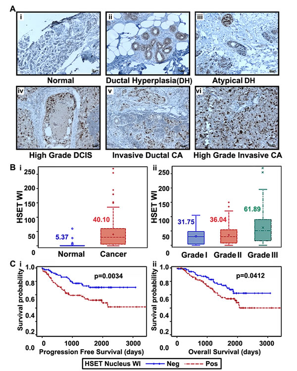 fig3