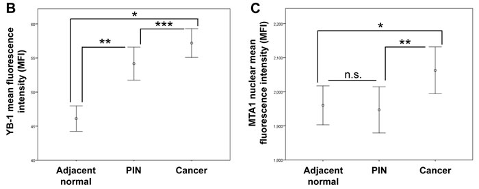 fig1b