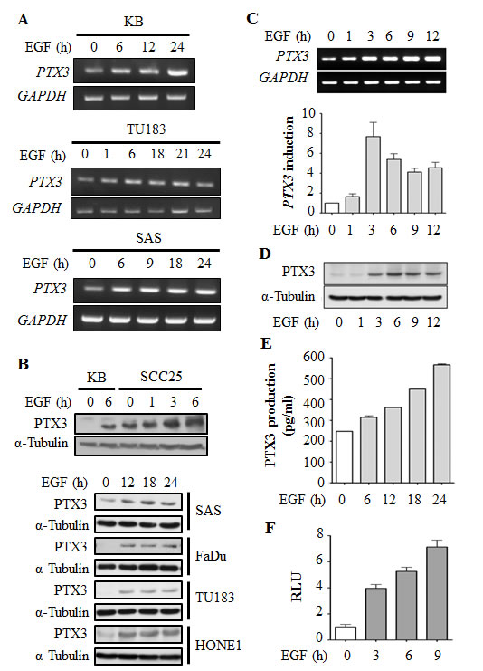 fig1