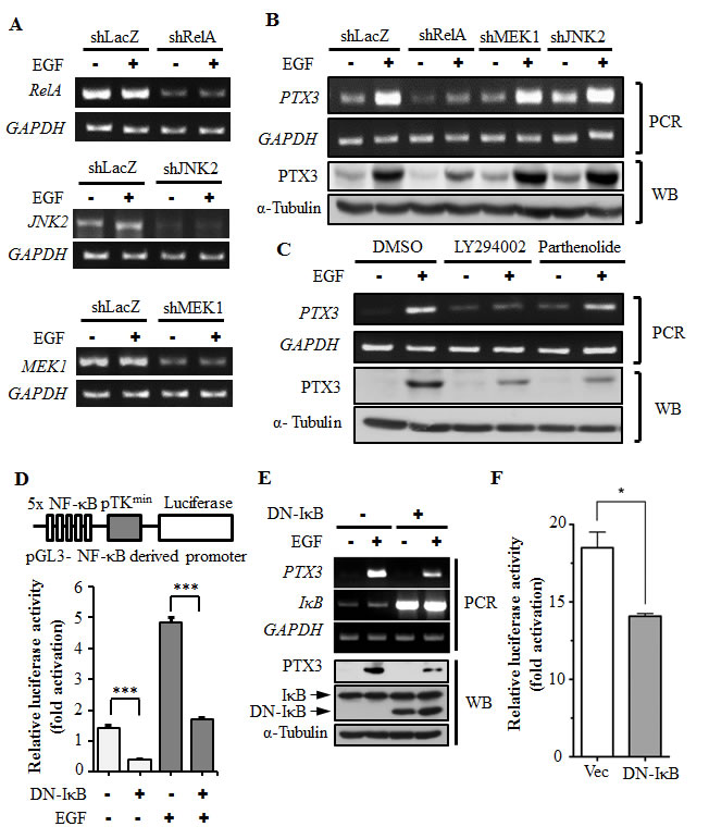 fig2