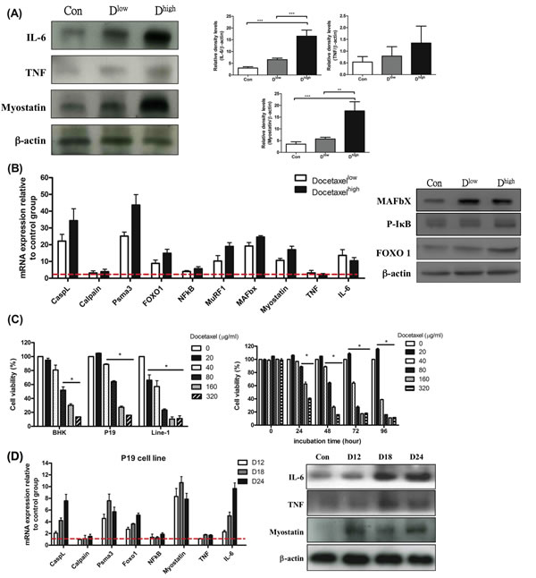 fig4