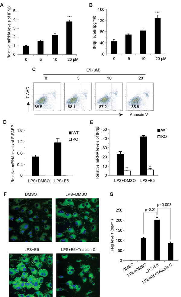 FIG3