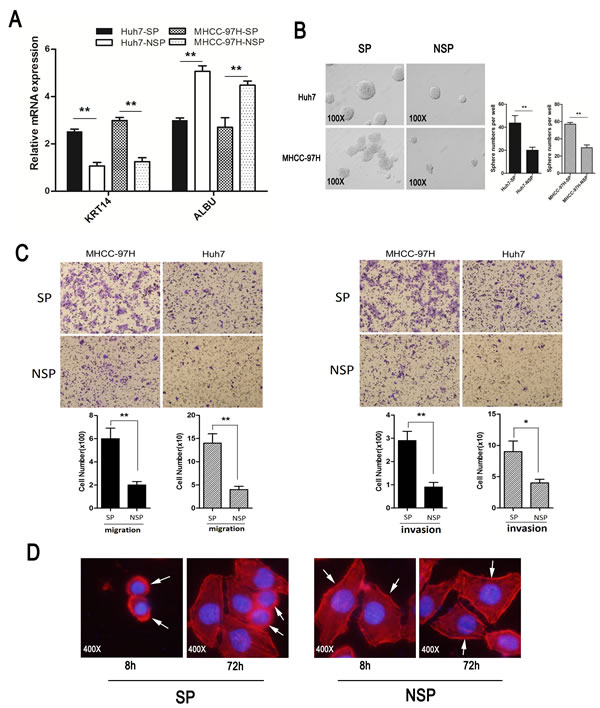 fig4