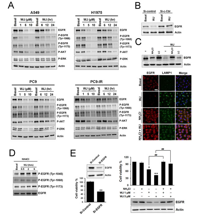 fig2